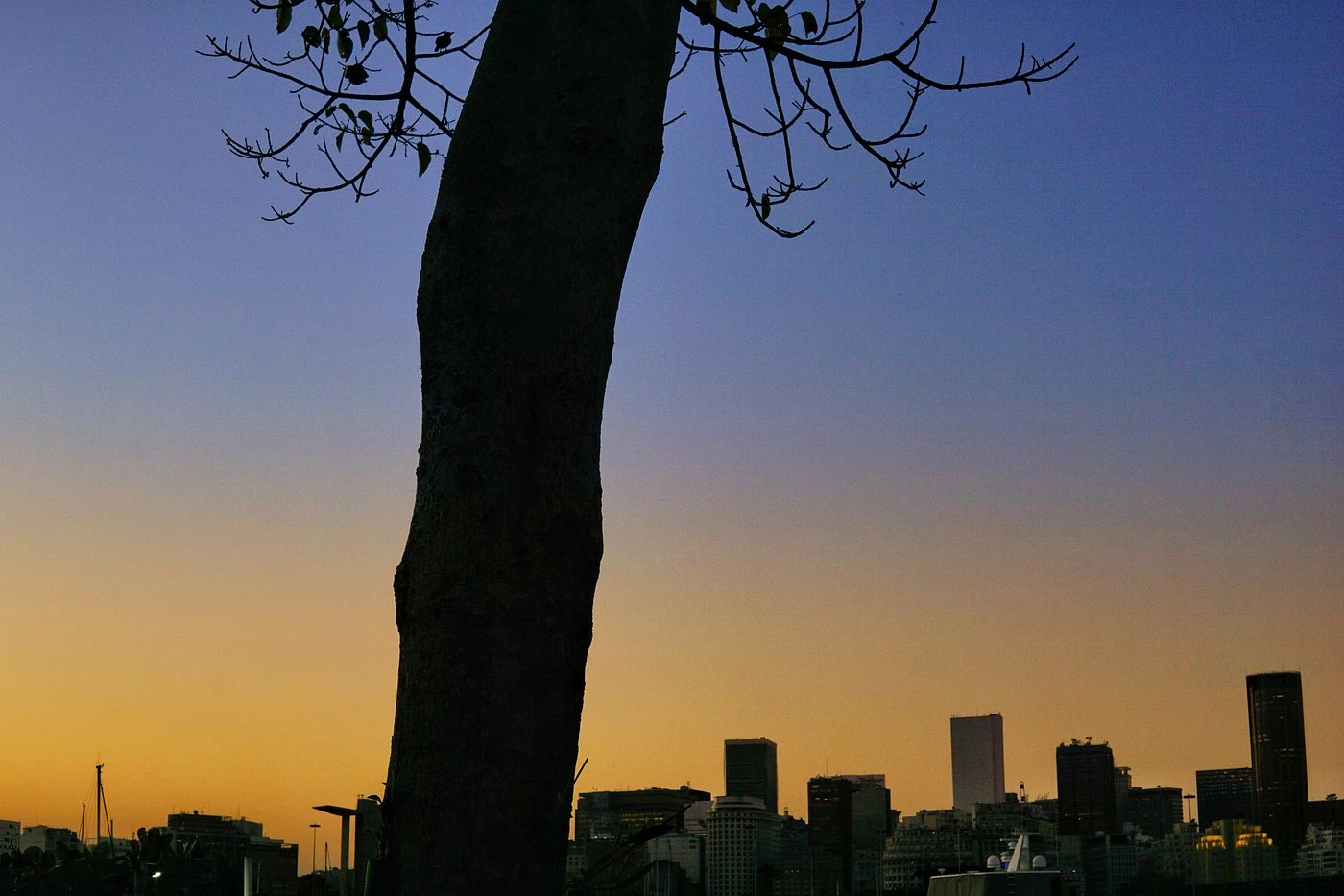 Italian Tasting - Wine & Bay View - Image